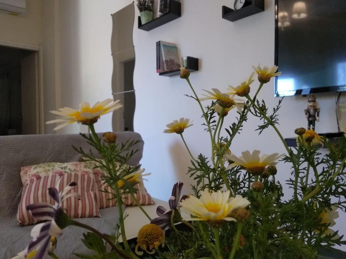 Diamant'S Place With Treehouse Garden Kunupidianá Kültér fotó
