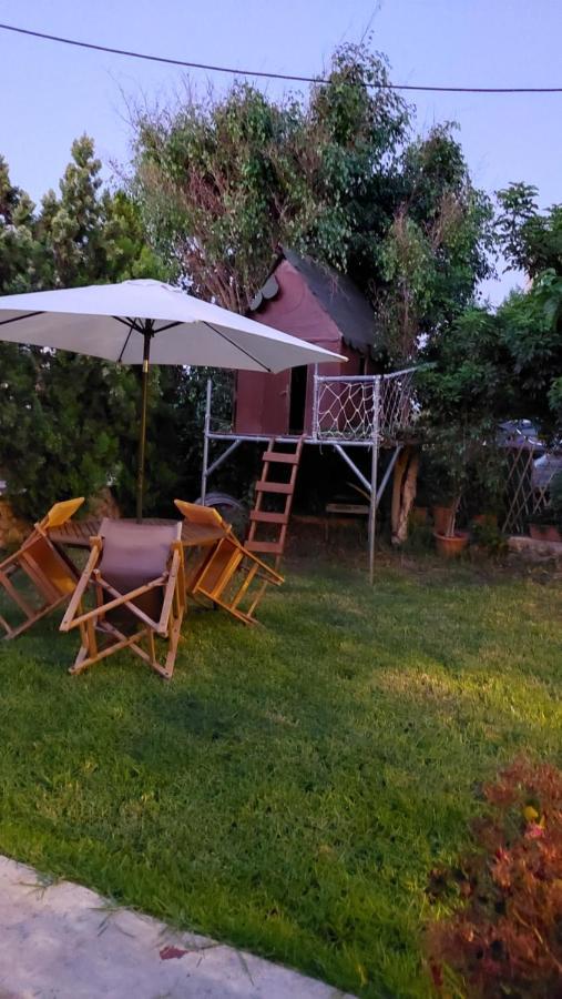 Diamant'S Place With Treehouse Garden Kunupidianá Kültér fotó